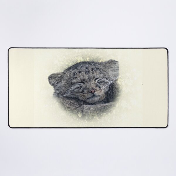 Item preview, Manul cub designed and sold by Guardi71.