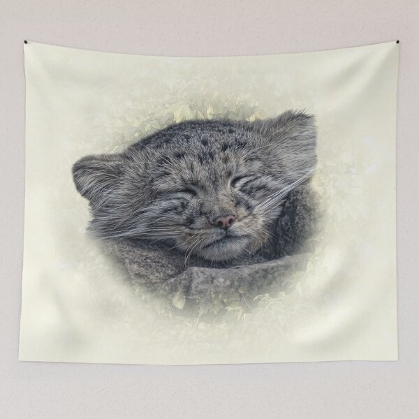 Item preview, Manul cub designed and sold by Guardi71.