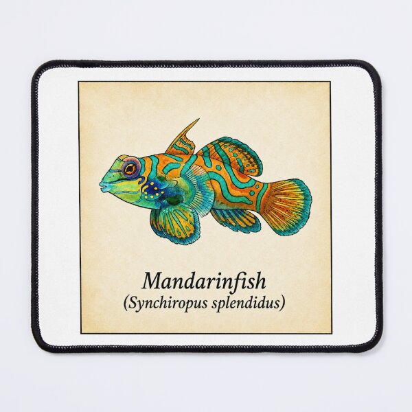 Item preview, Green Mandarin Goby Watercolor Reef Art Print designed and sold by KenworksDigital.