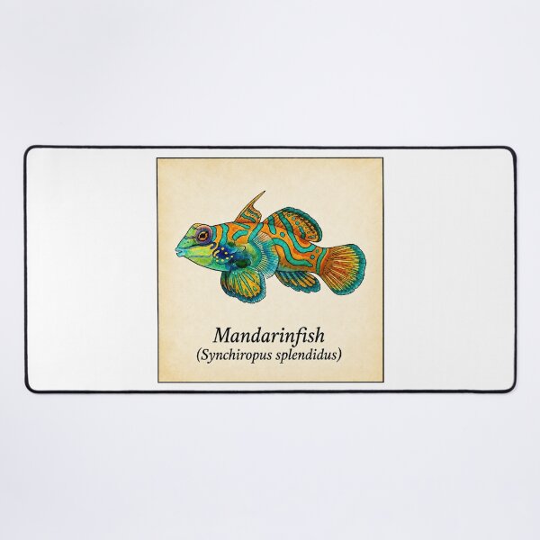 Item preview, Green Mandarin Goby Watercolor Reef Art Print designed and sold by KenworksDigital.