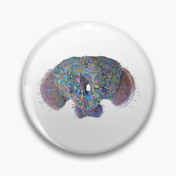 Item preview, fly brain designed and sold by PrintondemArt.