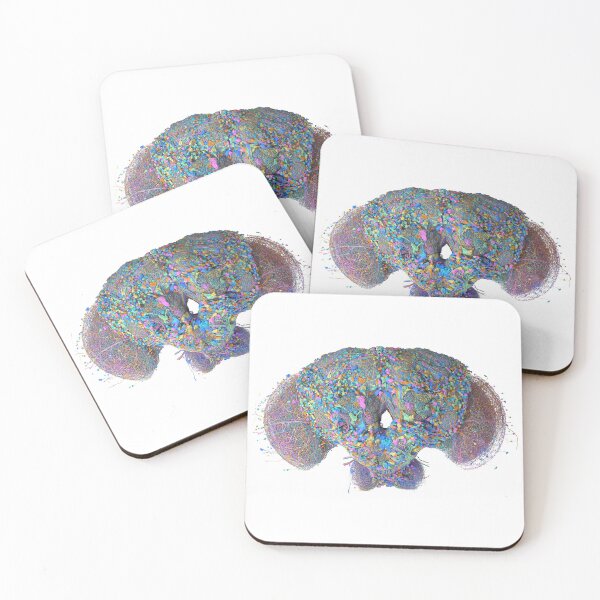 Item preview, fly brain designed and sold by PrintondemArt.