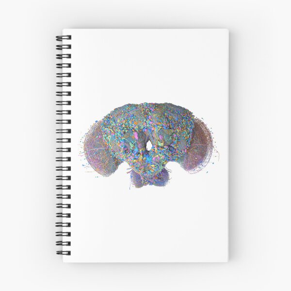 Item preview, fly brain designed and sold by PrintondemArt.