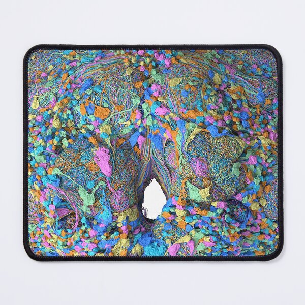 Item preview, fly brain designed and sold by PrintondemArt.