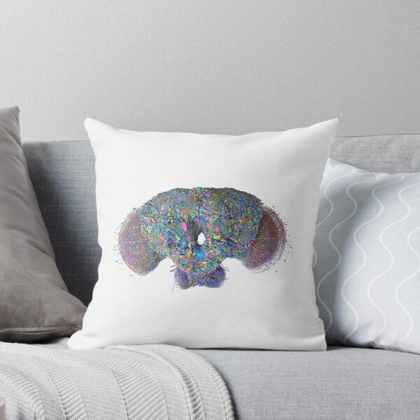 Item preview, fly brain designed and sold by PrintondemArt.