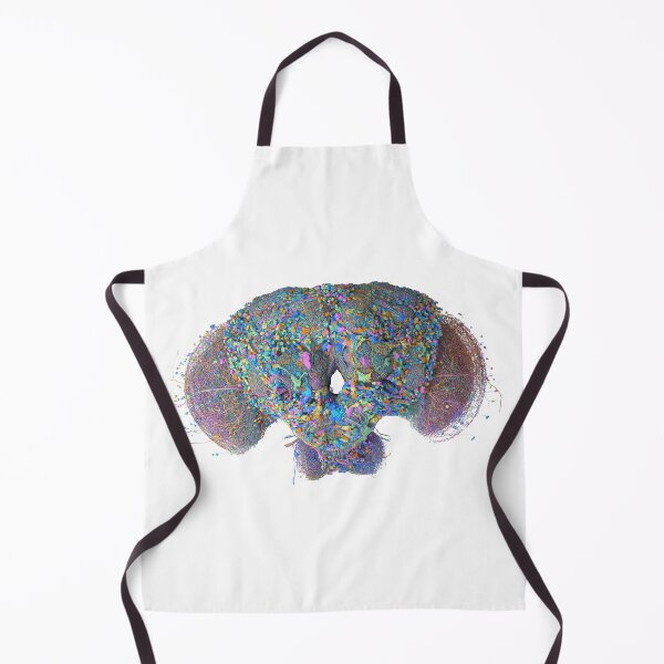 Item preview, fly brain designed and sold by PrintondemArt.