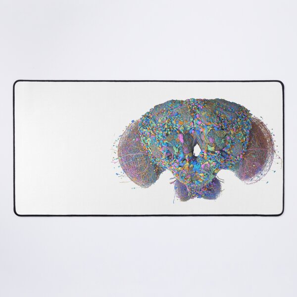 Item preview, fly brain designed and sold by PrintondemArt.