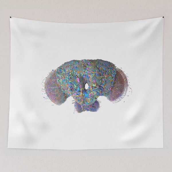 Item preview, fly brain designed and sold by PrintondemArt.