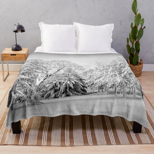 Item preview, Snow-covered evergreens in Kohler Wisconsin black and white designed and sold by TerraMediaLLC.