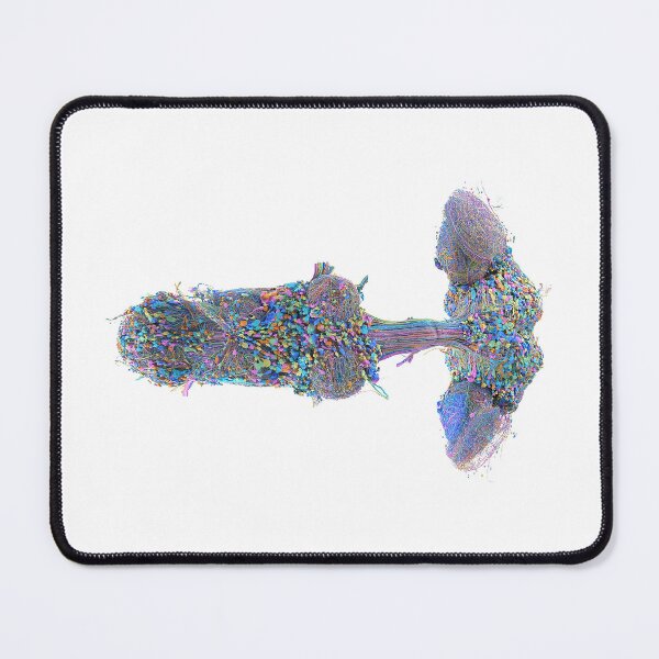 Item preview, fly brain designed and sold by PrintondemArt.