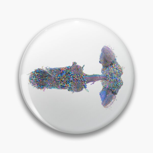 Item preview, fly brain designed and sold by PrintondemArt.