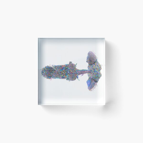 Item preview, fly brain designed and sold by PrintondemArt.