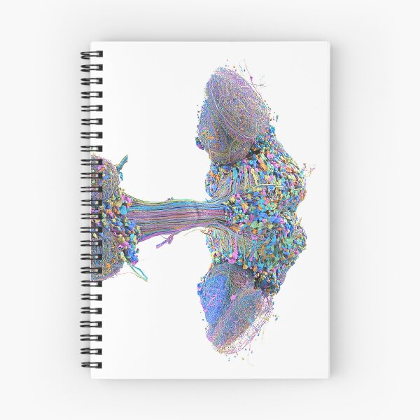 Item preview, fly brain designed and sold by PrintondemArt.
