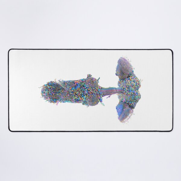 Item preview, fly brain designed and sold by PrintondemArt.