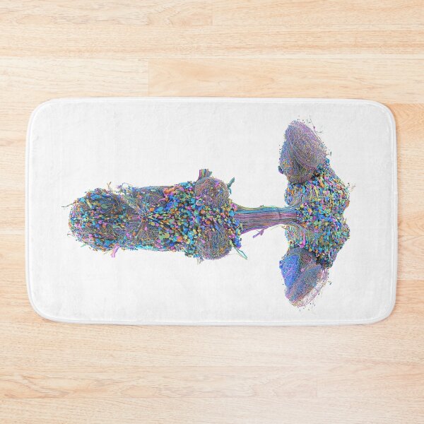 Item preview, fly brain designed and sold by PrintondemArt.