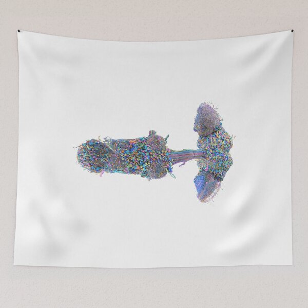 Item preview, fly brain designed and sold by PrintondemArt.