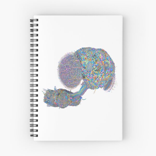 Item preview, fly brain designed and sold by PrintondemArt.