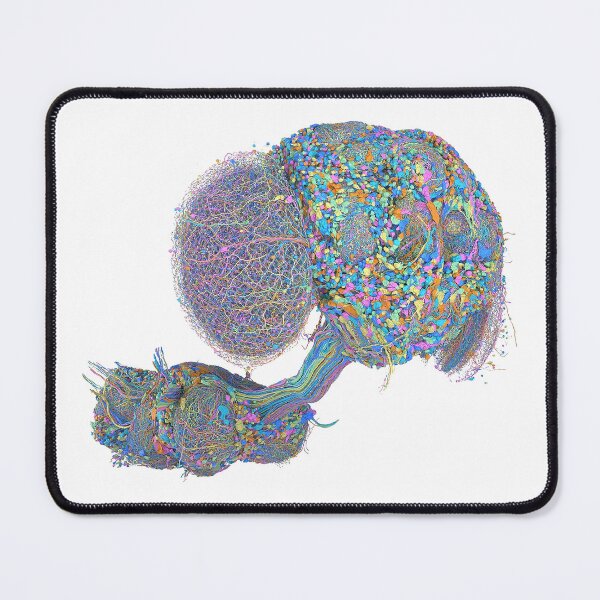 Item preview, fly brain designed and sold by PrintondemArt.