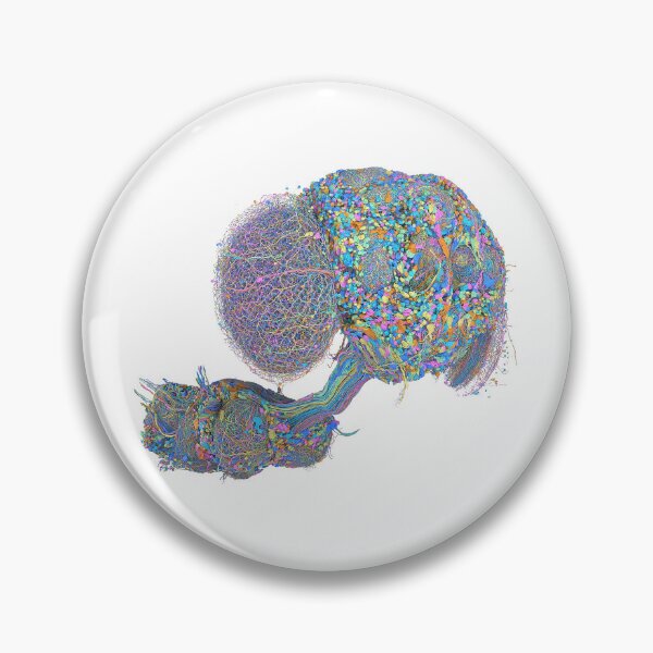 Item preview, fly brain designed and sold by PrintondemArt.