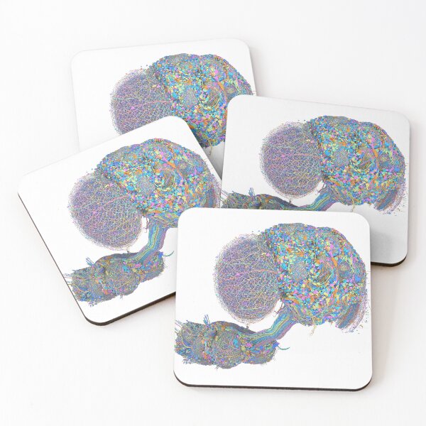 Item preview, fly brain designed and sold by PrintondemArt.