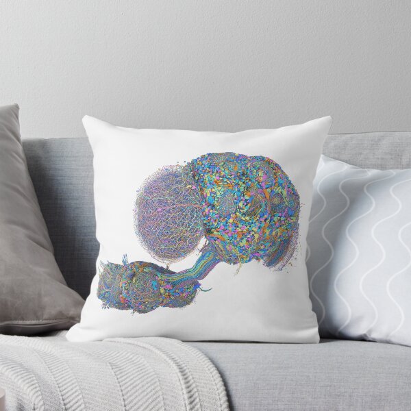 Item preview, fly brain designed and sold by PrintondemArt.