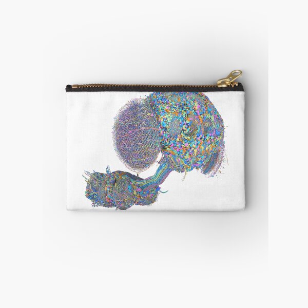 Item preview, fly brain designed and sold by PrintondemArt.