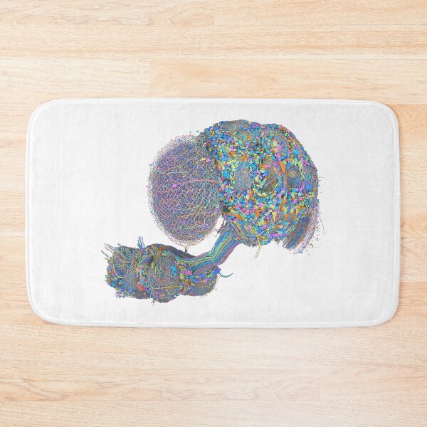 Item preview, fly brain designed and sold by PrintondemArt.