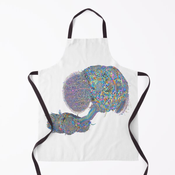 Item preview, fly brain designed and sold by PrintondemArt.