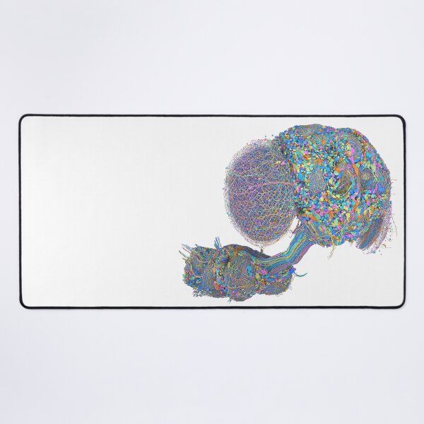 Item preview, fly brain designed and sold by PrintondemArt.