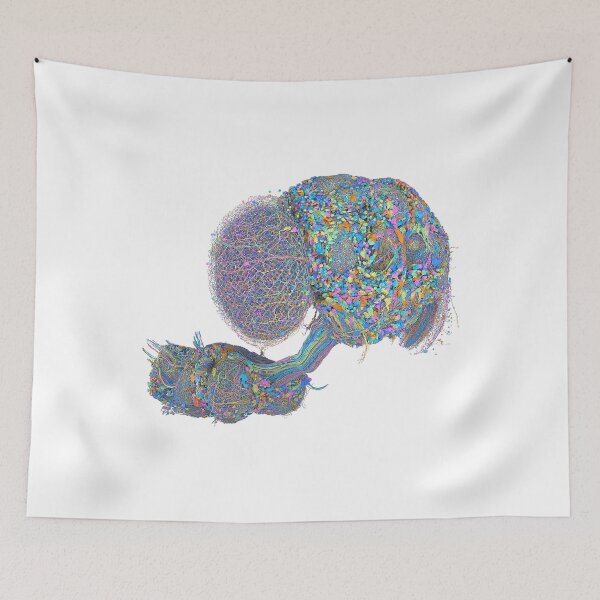 Item preview, fly brain designed and sold by PrintondemArt.