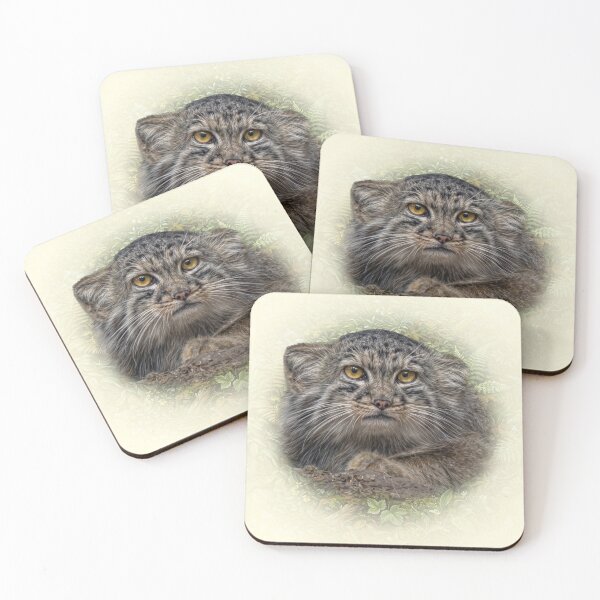 Item preview, Manul cub designed and sold by Guardi71.
