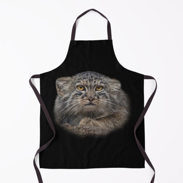 Item preview, Manul cub designed and sold by Guardi71.