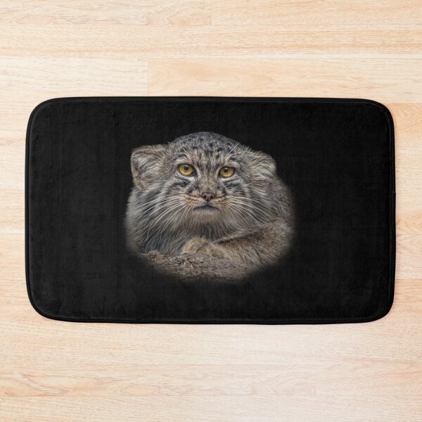Item preview, Manul cub designed and sold by Guardi71.