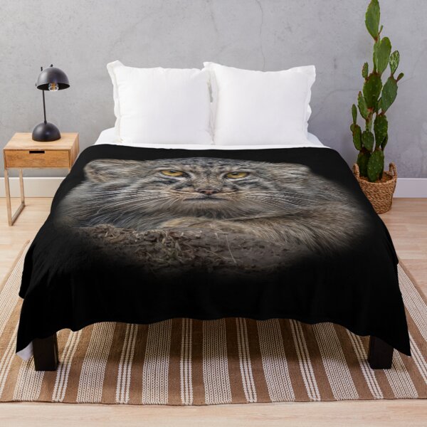 Item preview, Manul cub designed and sold by Guardi71.