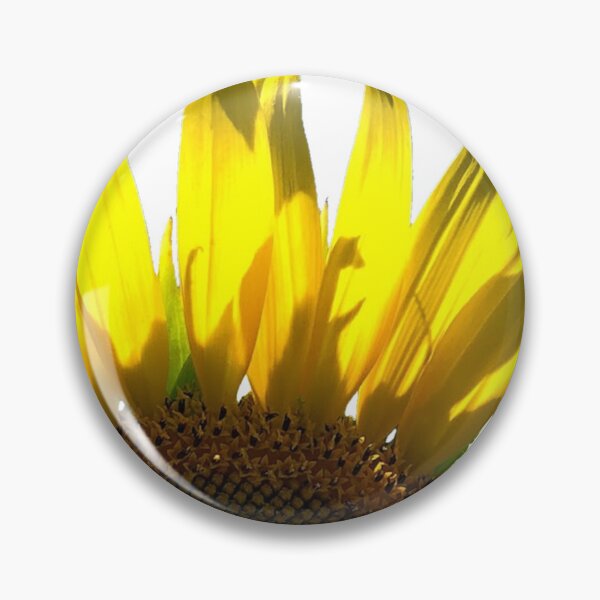 Item preview, Sunflower photo cut out designed and sold by GiSilver.
