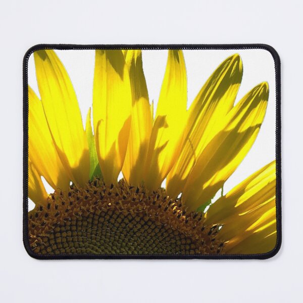 Item preview, Sunflower photo cut out designed and sold by GiSilver.