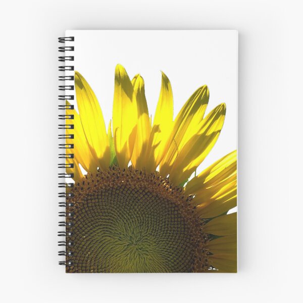 Item preview, Sunflower photo cut out designed and sold by GiSilver.