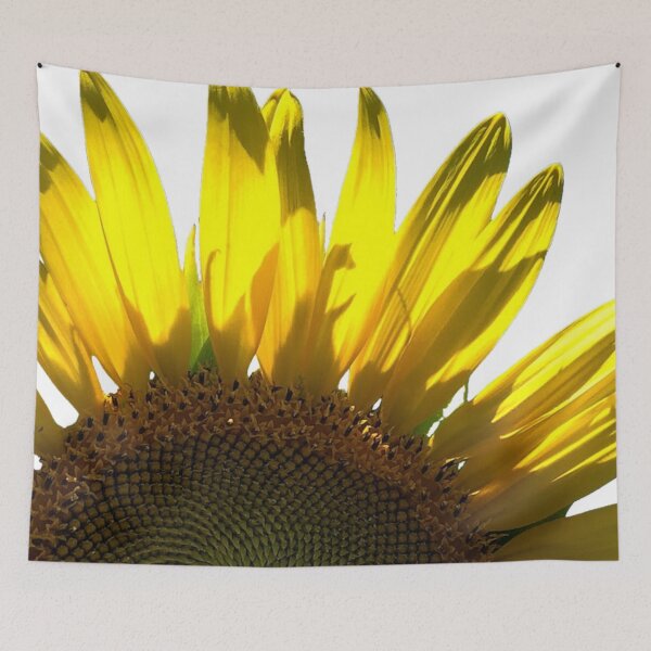 Item preview, Sunflower photo cut out designed and sold by GiSilver.