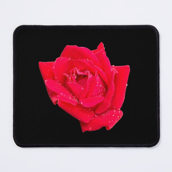 Item preview, Rose photo cut out, no filter photo designed and sold by GiSilver.