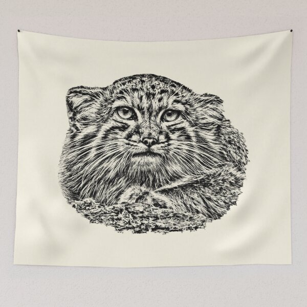 Item preview, Manul cub designed and sold by Guardi71.