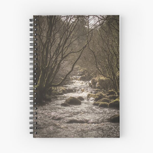 Item preview, River through Glenariff Forest designed and sold by PointBlank.