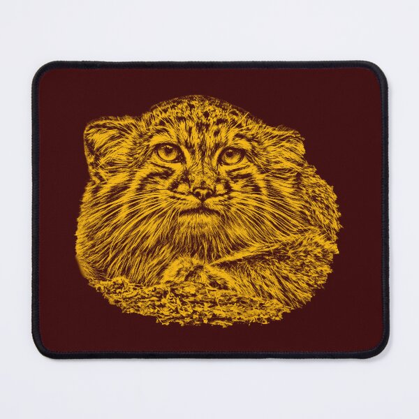 Item preview, Manul cub designed and sold by Guardi71.