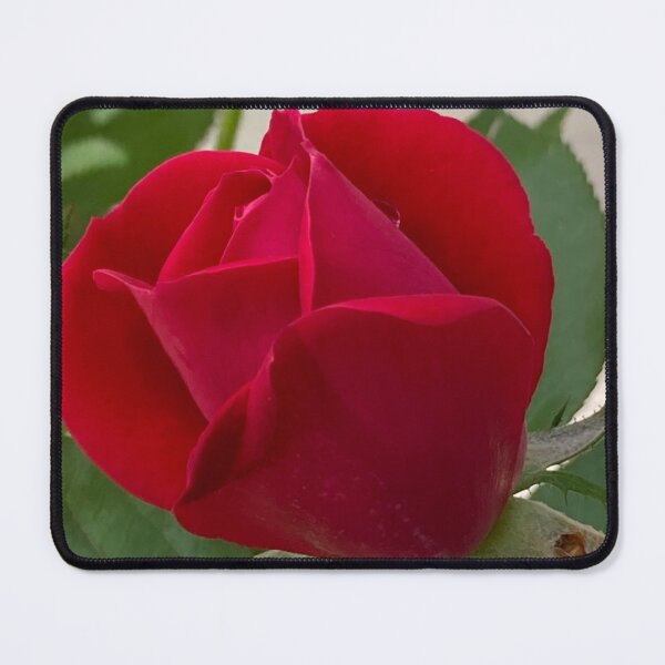 Item preview, Rose Bud, no filter photograph designed and sold by GiSilver.
