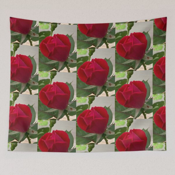 Item preview, Rose Bud, no filter photograph designed and sold by GiSilver.