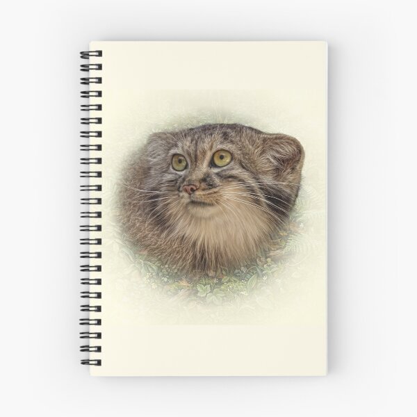 Item preview, Manul cub designed and sold by Guardi71.