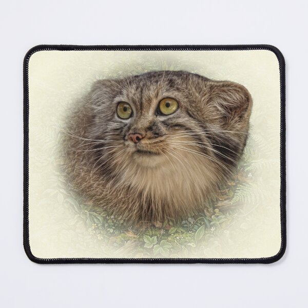 Artikelvorschau, Manul-Junges entworfen und verkauft von Guardi71.