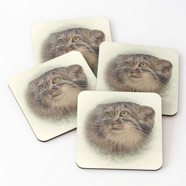 Item preview, Manul cub designed and sold by Guardi71.