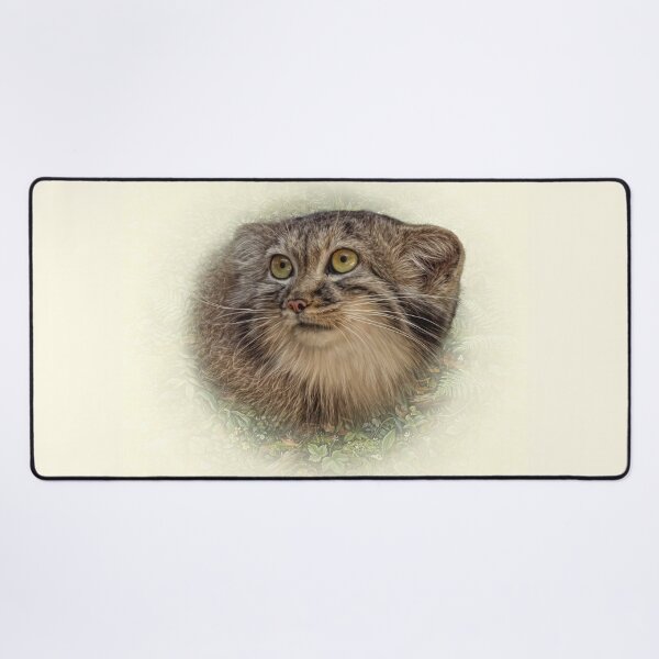 Item preview, Manul cub designed and sold by Guardi71.