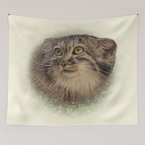 Item preview, Manul cub designed and sold by Guardi71.