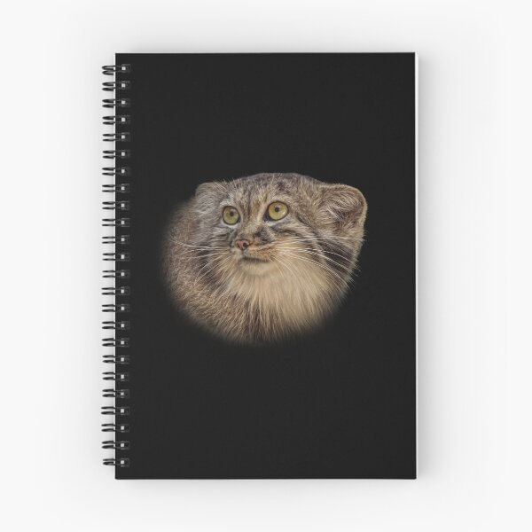 Item preview, Manul cub designed and sold by Guardi71.